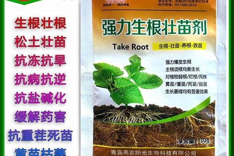 亚磷酸钾用在果树控旺在什么时期使用效果更好？