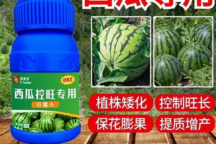 腐植酸对农作物有哪些作用