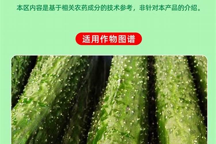 中石化的油豆可以转成油吗