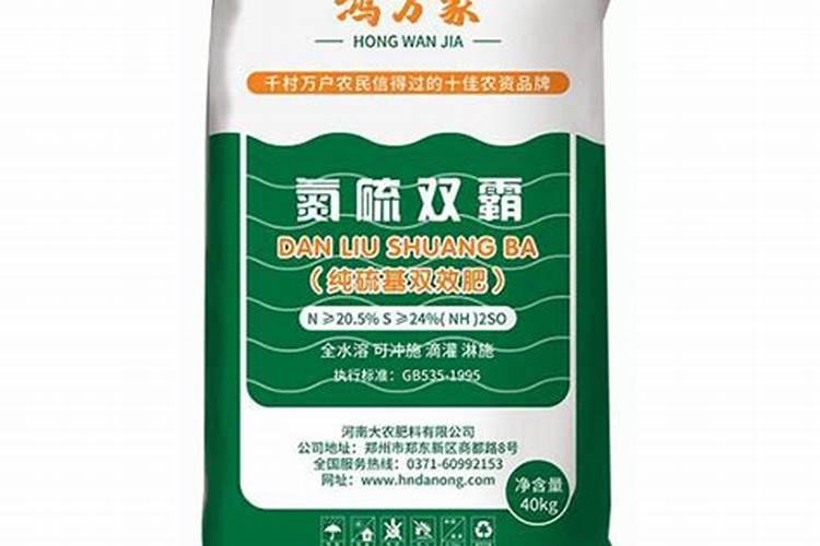 养心菜种子如何催芽