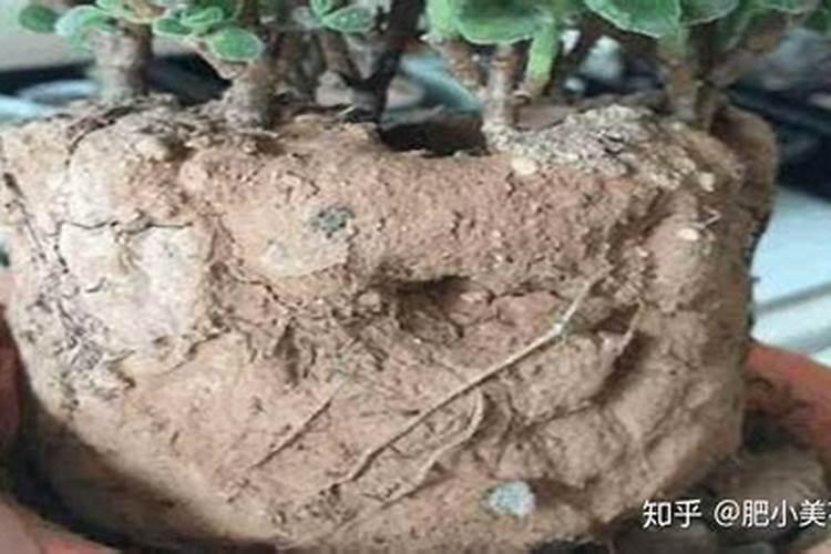 囤积的肥料种类太多了,怕记混、用错,怎么办？