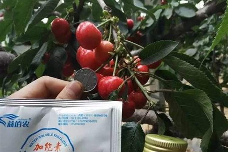 冲施肥能做叶面肥吗