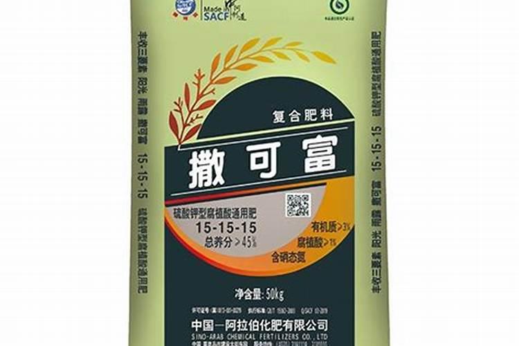发财树叶子发黄怎么处理怎么补救