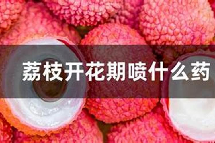 荔枝最佳的施肥时间 荔枝什么时候施肥
