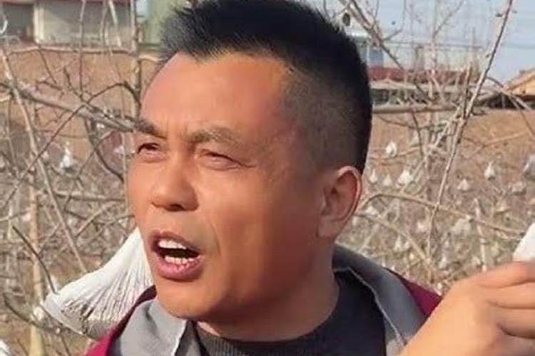 “磷酸二氢钾+糖醇钙”,两大叶面肥王牌产品,到底能不能混用？