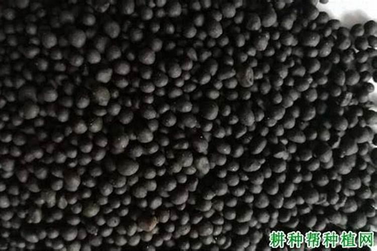 植物能不能直接吸收有机物？