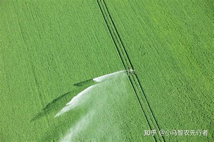三个十五的复合肥和硝酸磷钾肥哪个肥效更好