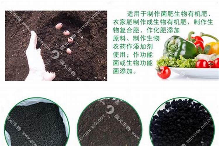 植物防冻剂真能防冻吗
