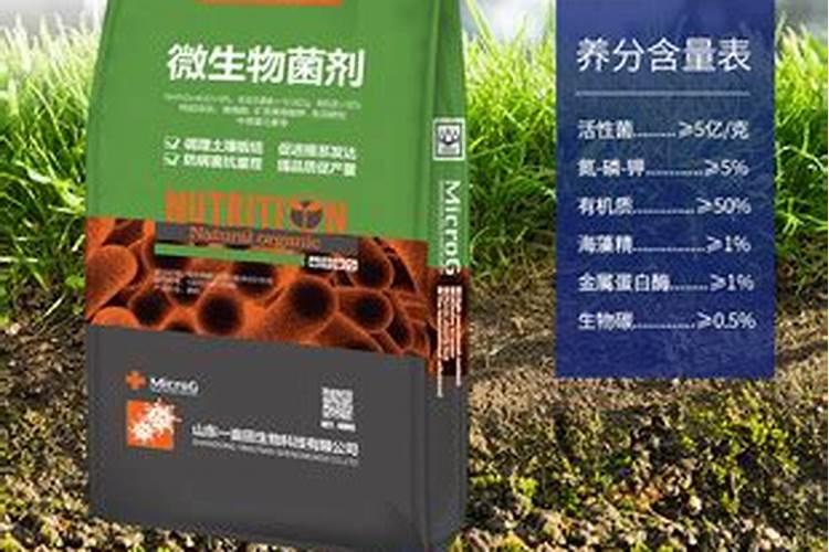 揭秘:海藻有机肥到底好不好？