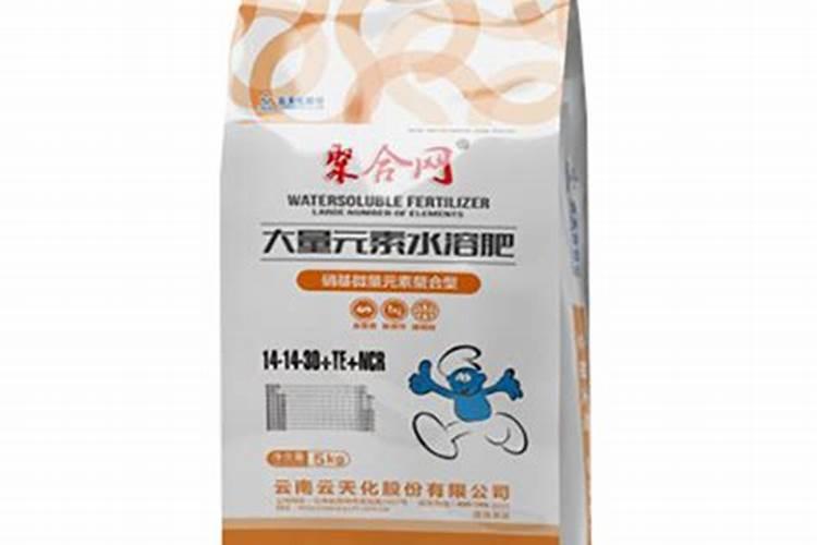 制作水果花束需要什么材料