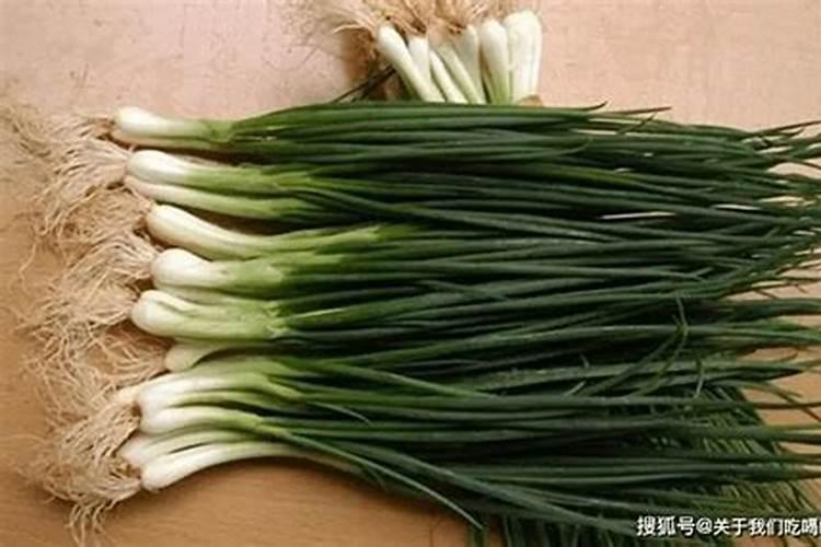 种香葱用什么肥料最好