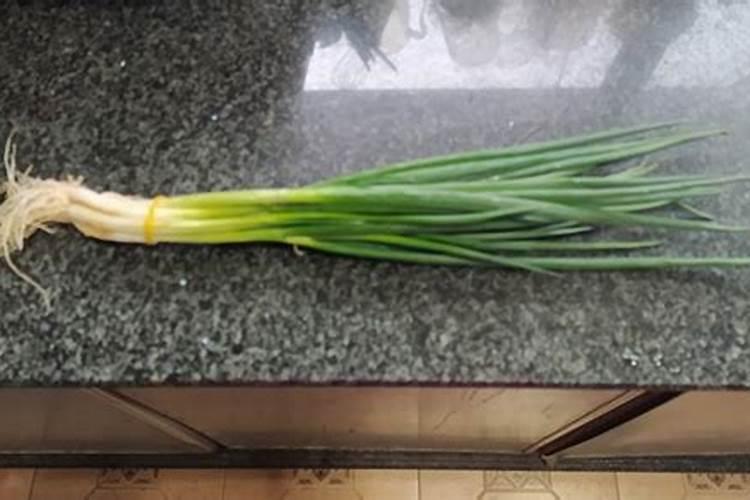 香葱的施肥要点和施肥方式及香葱的整地施肥特点