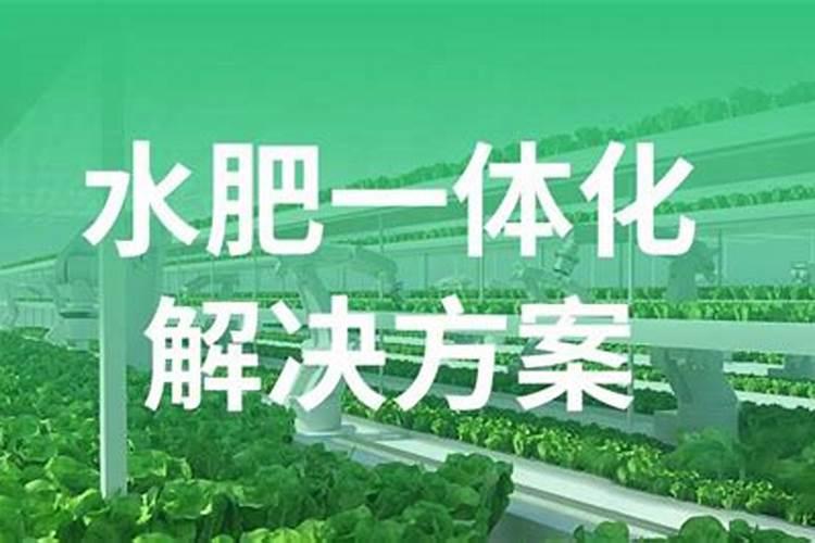 柑橘采收前如何浇水施肥 水肥管理措施是什么