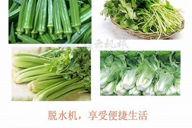 蔬菜施什么肥长得快又好