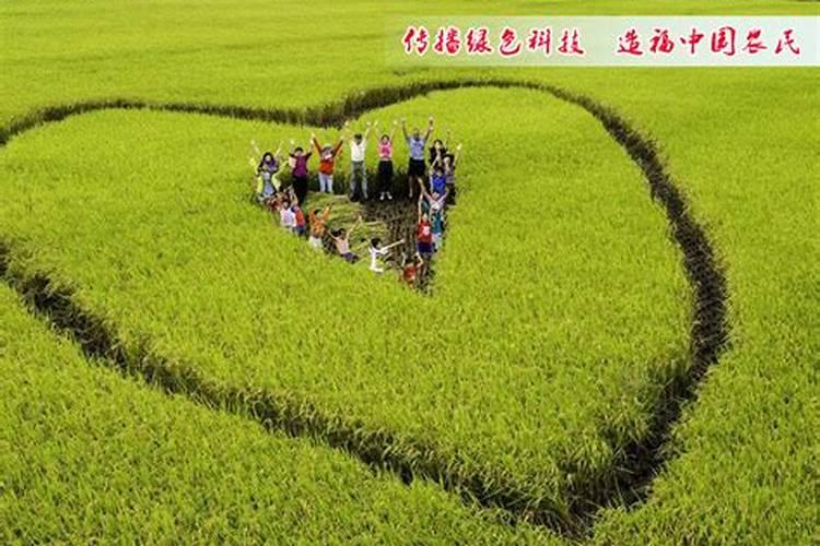 果树有锈病怎样治