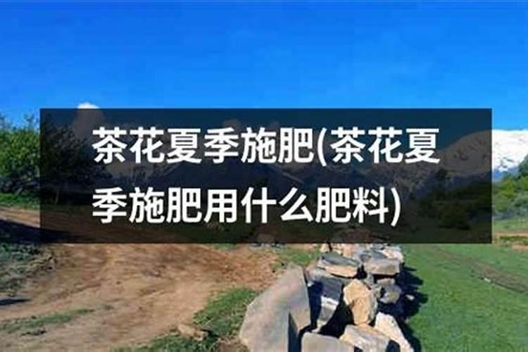 蟹爪兰什么时候施肥施什么肥好