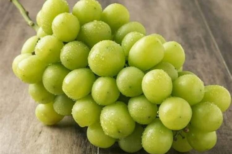 黄瓜如何施肥和浇水 用什么肥料产量高
