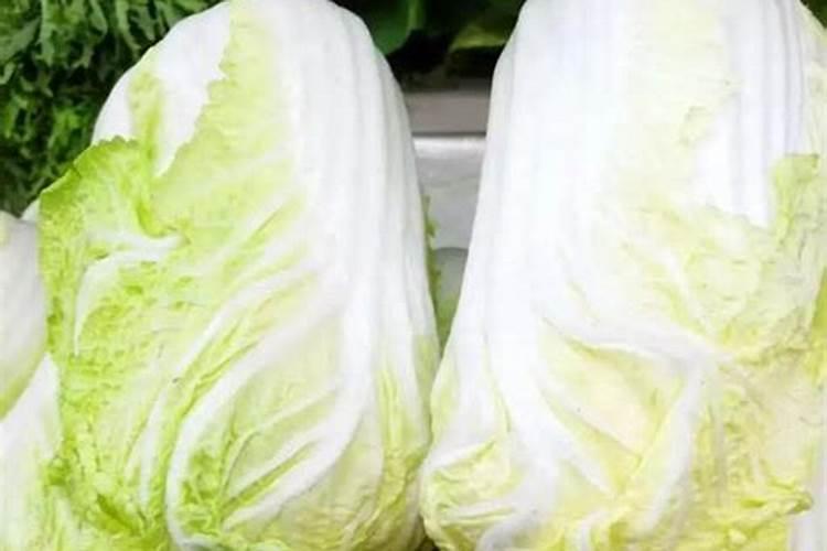 白菜喷什么叶面肥长得快