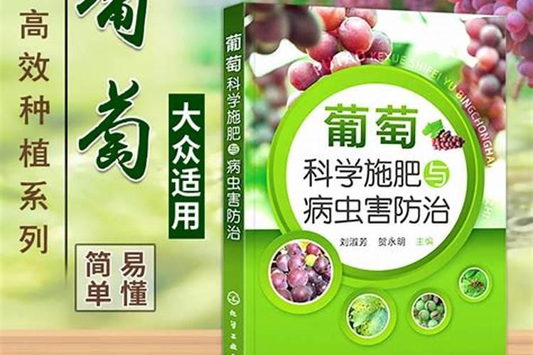 肥料可以用水溶解后浇花吗