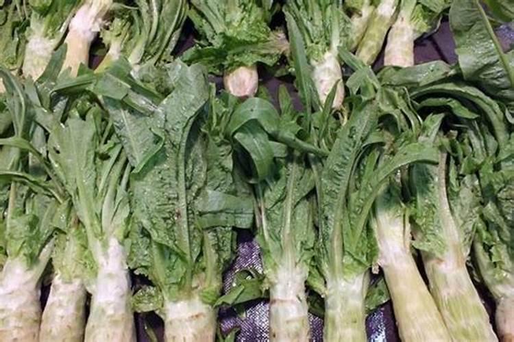 控释肥与掺混肥的区别