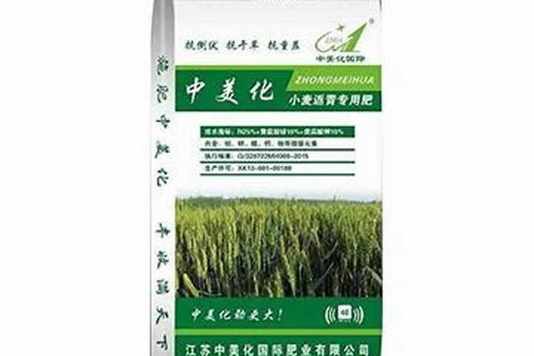 盆栽石斛兰花的叶面肥用那种好