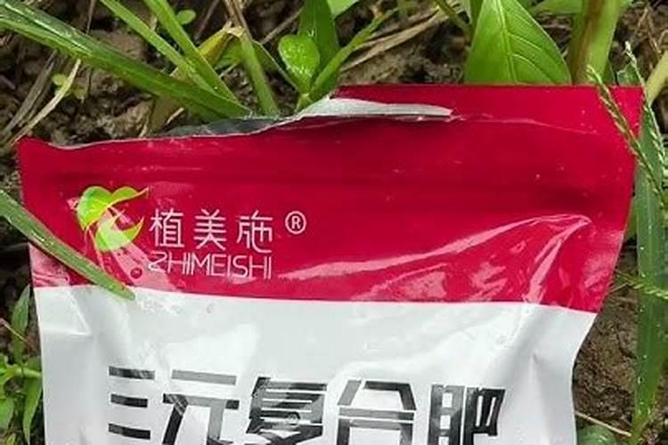 兰花怎么养不容易死呢？拜托了各位 谢谢