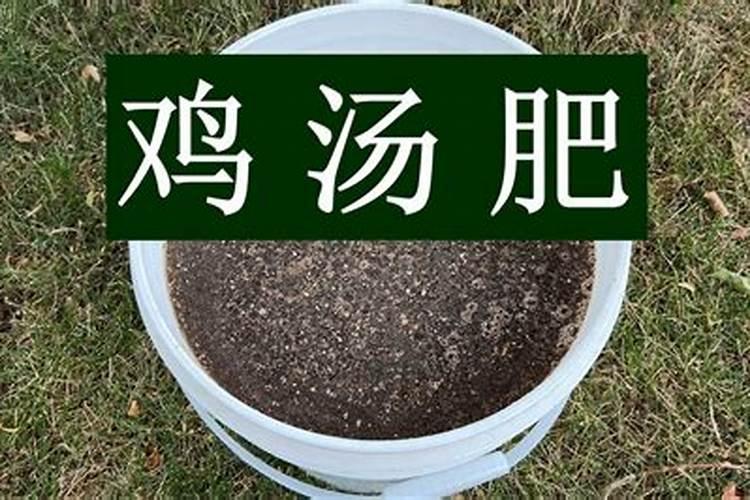 有机肥多少钱一吨