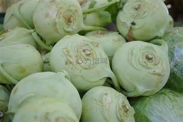大头菜如何种植,大头菜种植管理技术