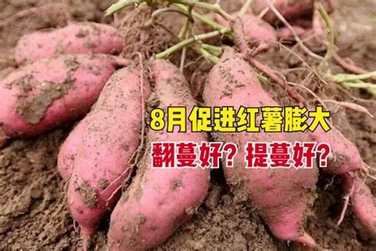 中化重庆涪陵化工有限公司 到底是一个什么样的公司？