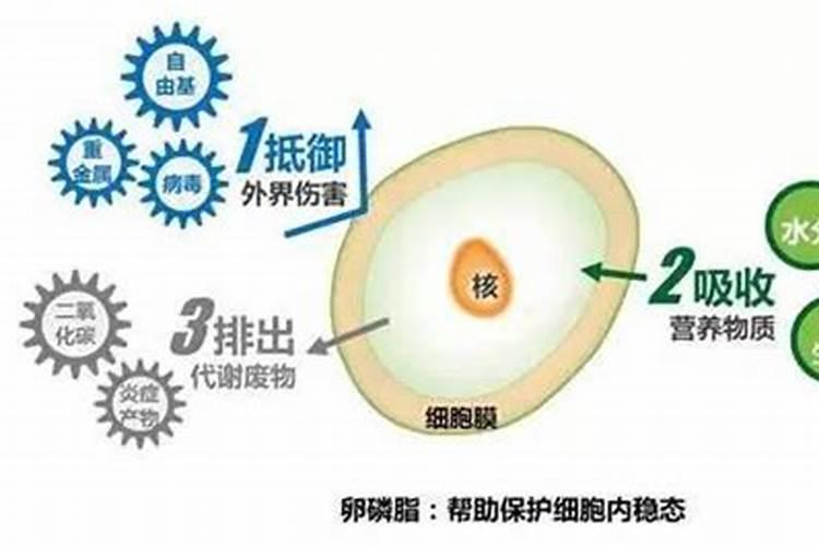 大豆施肥氮磷钾比例 怎么施肥更合理