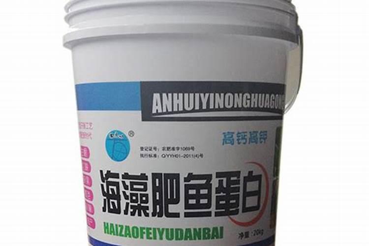 虫草养生酒怎么喝