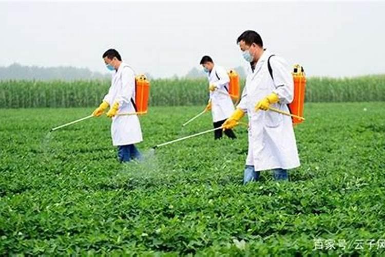 玉米除草剂可以和锌肥混用吗