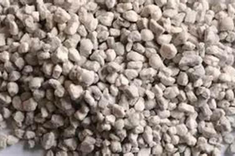 矮生盆栽番茄种植方法
