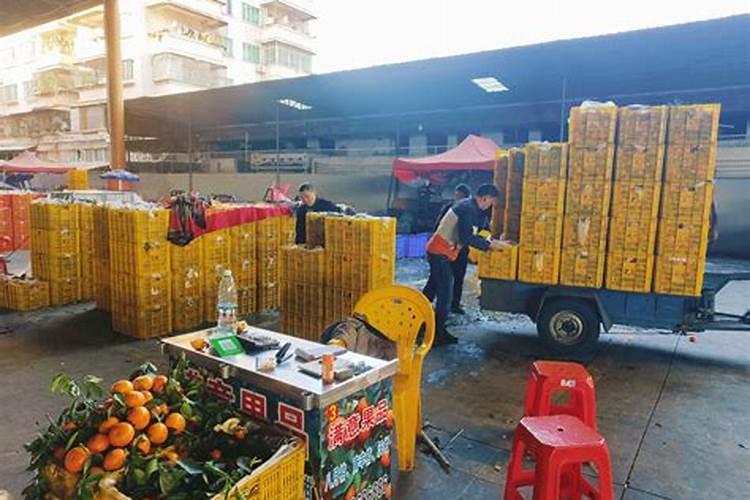 合肥最大的水果批发市场是哪里