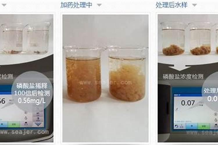 洗米水可以浇花吗？