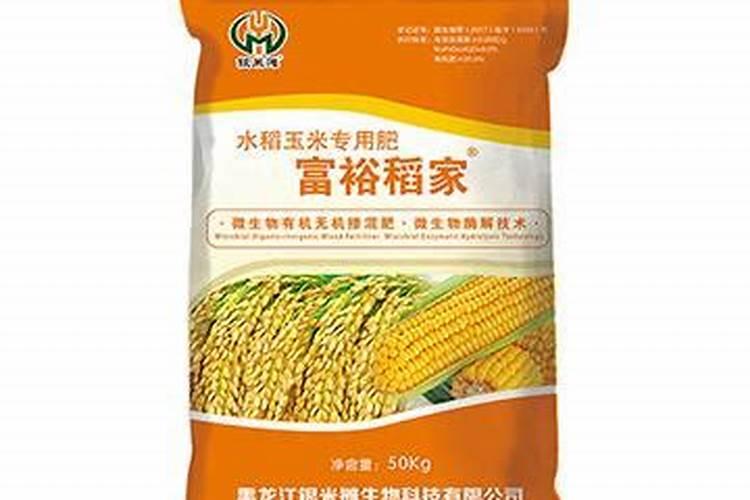 西葫芦种植注意事项有哪些