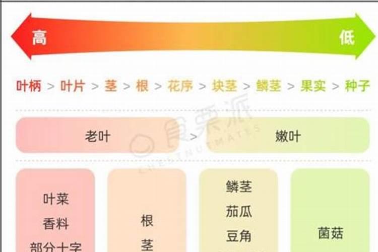 高温季节,如何提高蔬菜的抗逆能力？提高产量和品质？