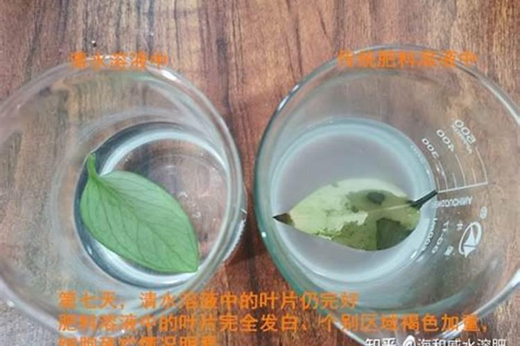 水溶肥原料有哪些