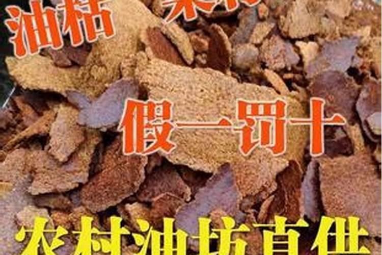 小油菜出苗后怎样管理花卉百科