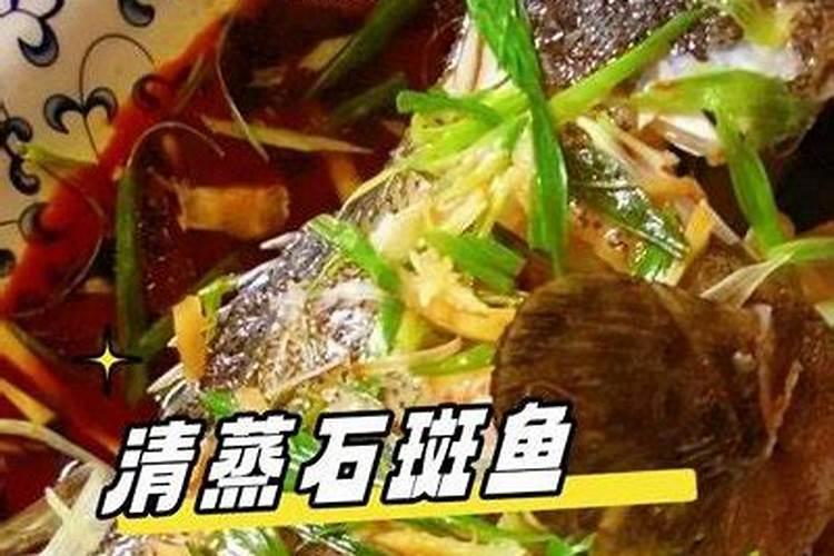 什么鱼好养呀