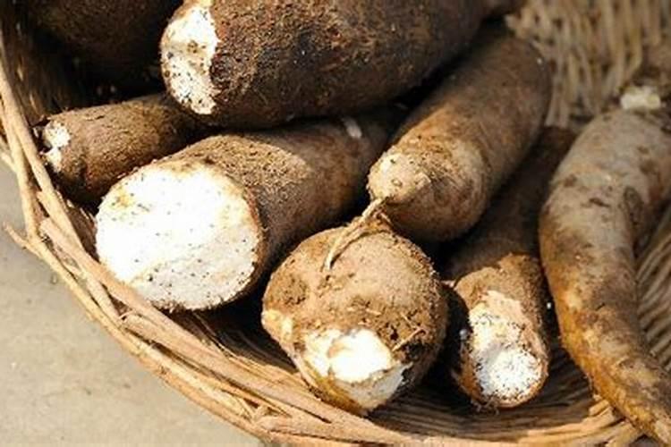 含磷高的肥料有哪些 对哪些作物有好处