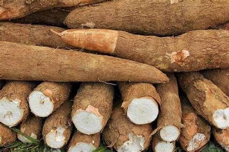 木薯做肥料最简单三个步骤