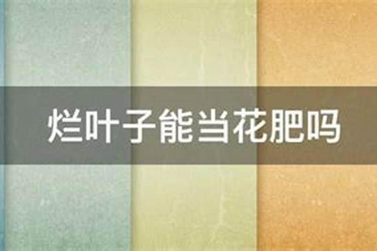 干树叶可以做肥料吗