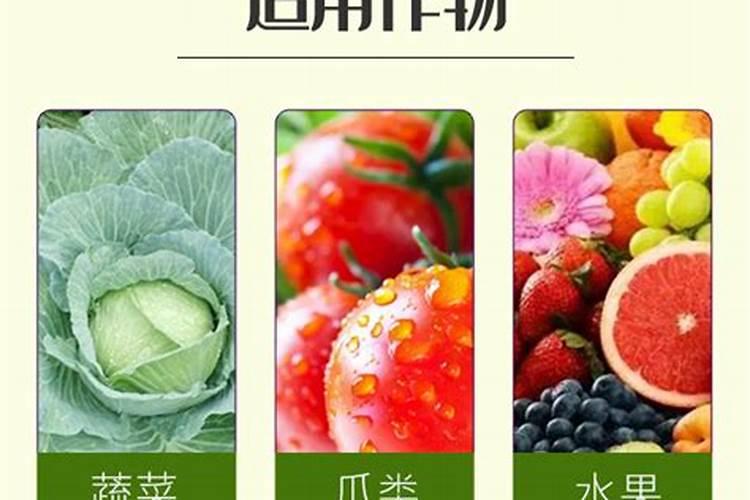 玉米种的晚了那玉米苗太小了打什么药长得快？