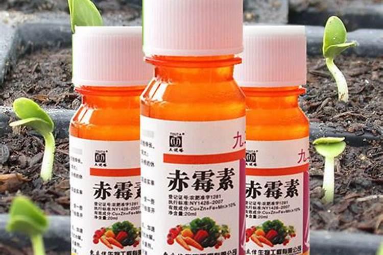 芸苔素内酯和赤霉酸能在一起种吗