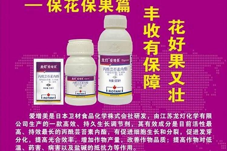 龙灯爱增美和碧护在水稻苗床那个好
