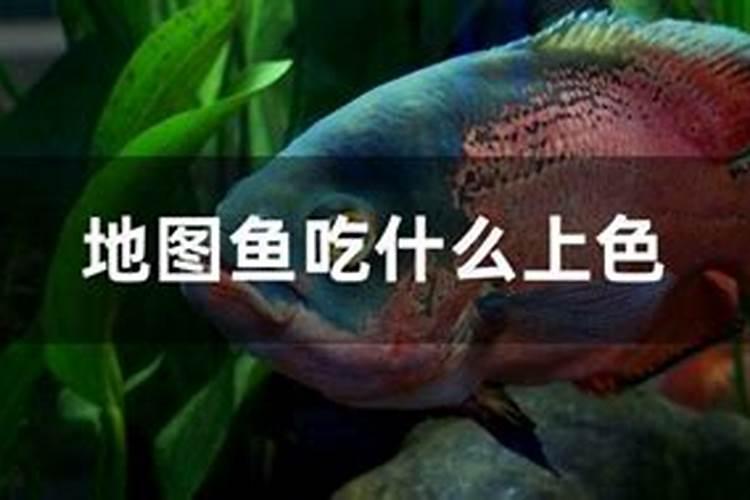 那里生产肥料用腐植酸多少钱一吨？