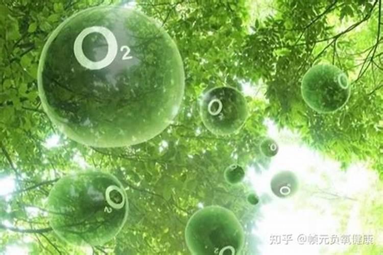 冬季大棚西红柿叶子发蔫怎么办