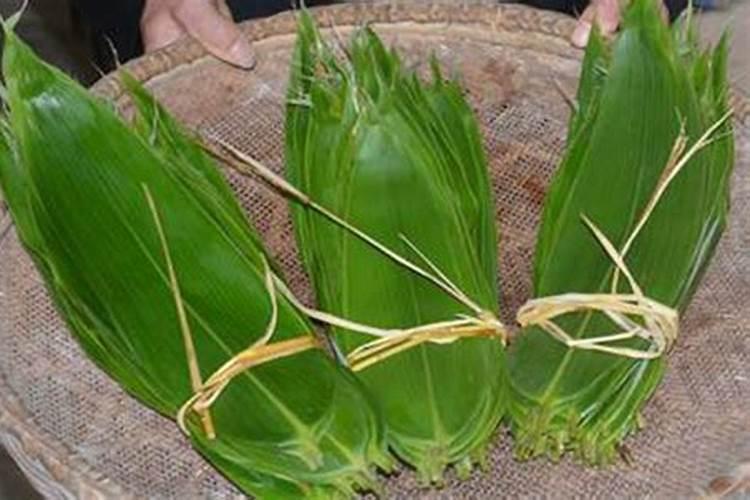 有关猪笼草的来厉