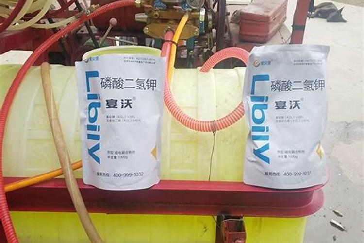 枇杷打不打叶面肥？如果打怎样打